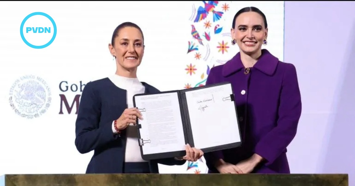 Sheinbaum advisor contracts