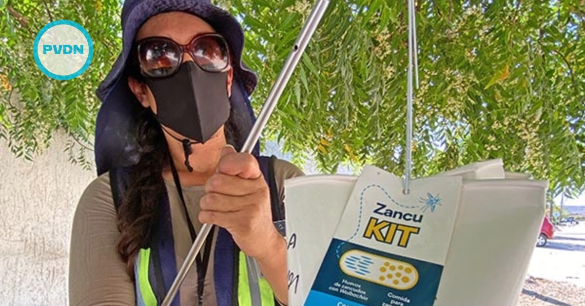 Wolbachia method Los Cabos