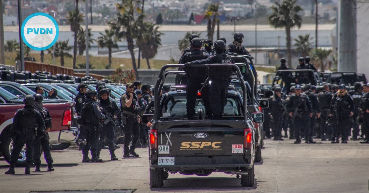 elite cartel task force