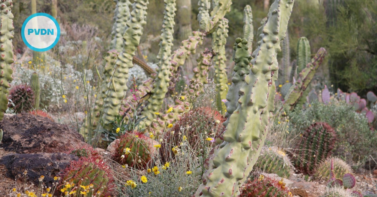 Charco del Ingenio lines up nature workshops this weekend
