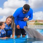Empty the Tanks targets Cabo Dolphin under Ley Mincho