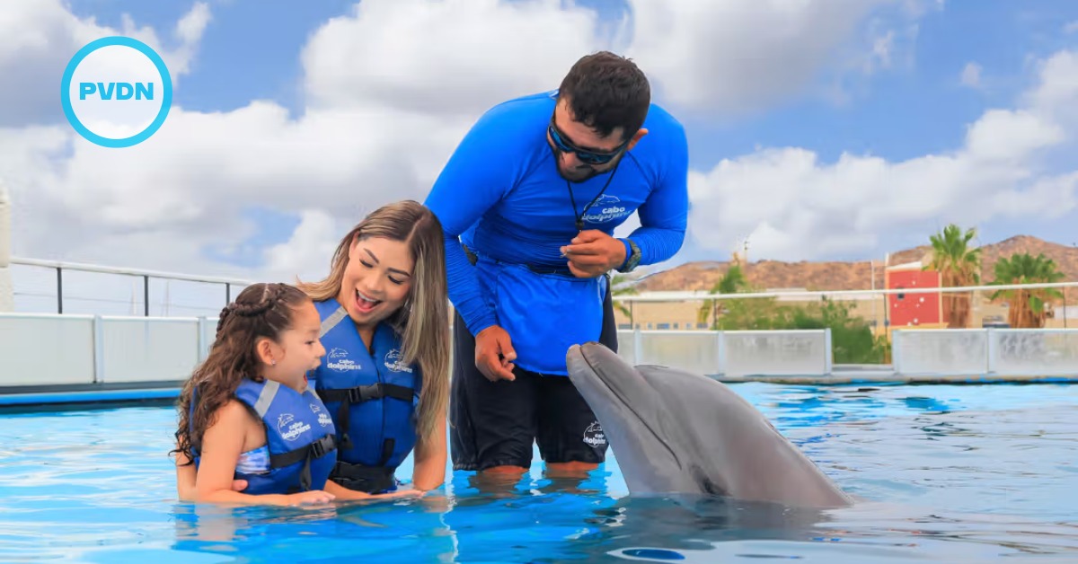 Empty the Tanks targets Cabo Dolphin under Ley Mincho
