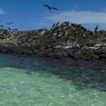 Gulf of California LNG