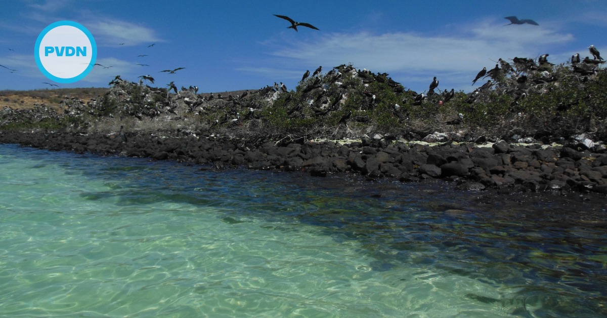 Gulf of California LNG