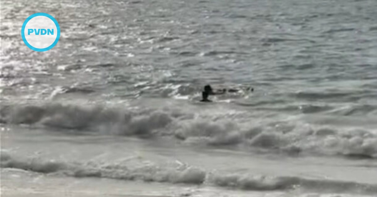 Lifeguard rescues swimmer swept away by current at Camarones Beach, Puerto Vallarta