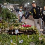 San Miguel Candelaria Fair marks 70th edition in 2026