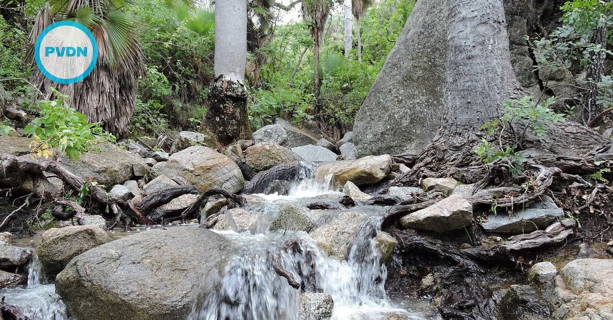 Sierra La Laguna project draws heat over El Niño Verde
