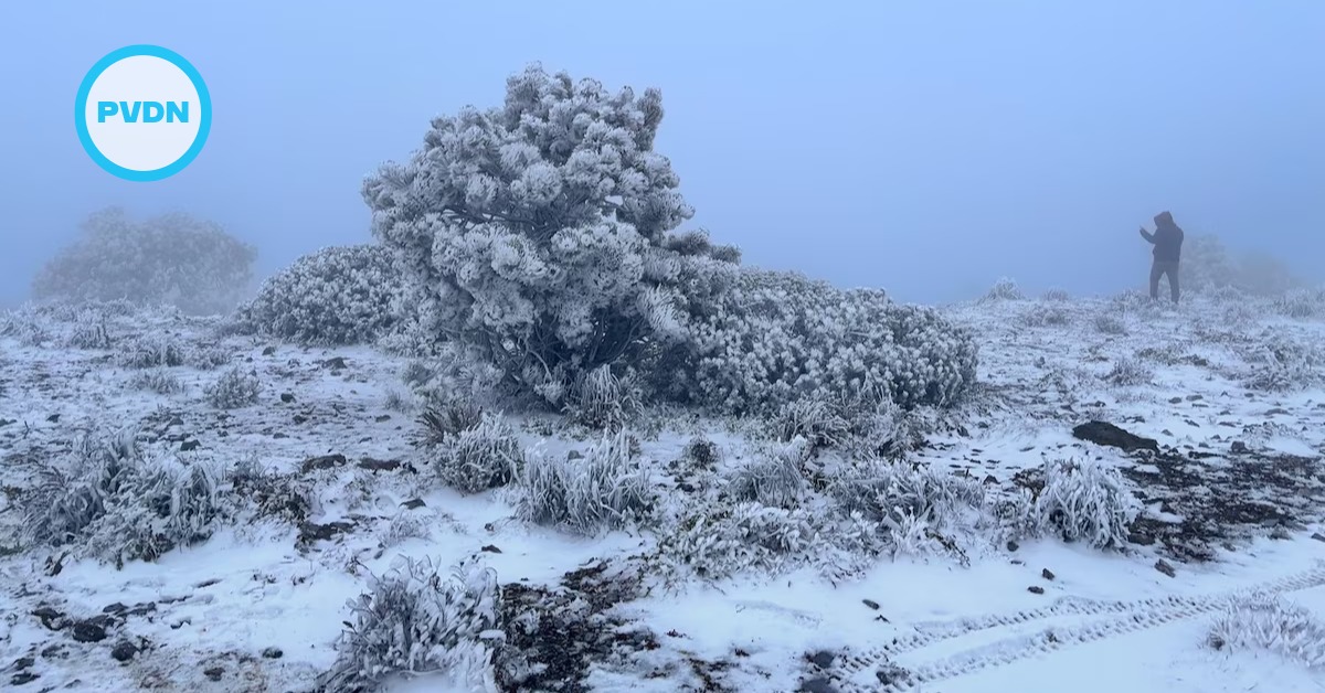 Snow, ice and wind disrupt Mexico as Frente Frío 27 hits