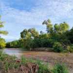 Water stress warning as Bay of Banderas rivers shrink