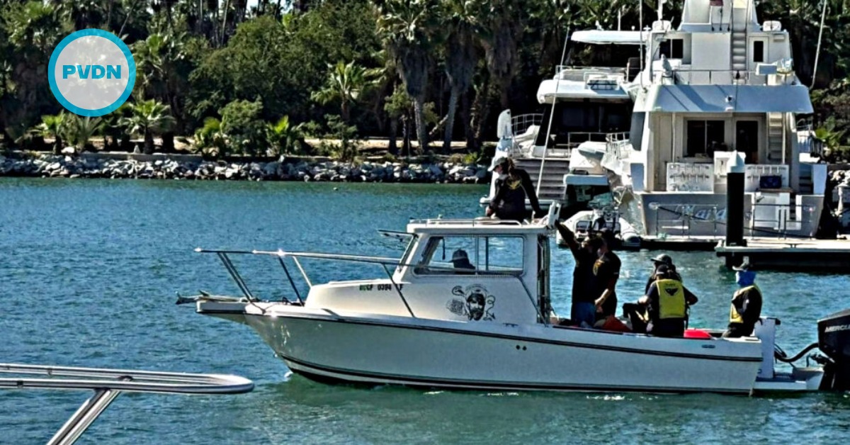 humpback whale freed