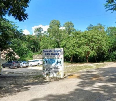 punta laguna