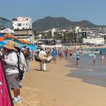 Businesses press Los Cabos to curb unpermitted vending