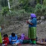 Cartels Drive Out Indigenous Communities for Gold and Timber