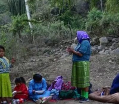 Cartels Drive Out Indigenous Communities for Gold and Timber