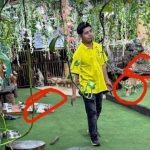 Expats urge closure of Animalandia on Playa's Fifth Ave