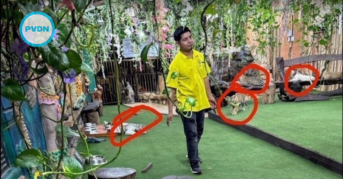 Expats urge closure of Animalandia on Playa's Fifth Ave