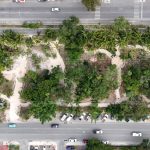 Maya Medicinal Garden Grows in Cancún’s Parque de la Equidad