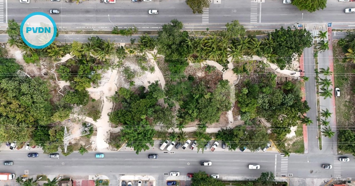Maya Medicinal Garden Grows in Cancún’s Parque de la Equidad