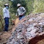 Milpa Alta forest guardians protect Mexico City’s green lung