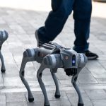 Monterrey Adds Robot Dogs to 2026 World Cup Security Plan