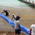 Playa del Carmen installs offshore 5km sargassum barrier
