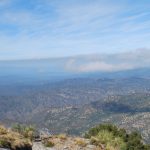 Semarnat stops non-native species plan in Sierra La Laguna