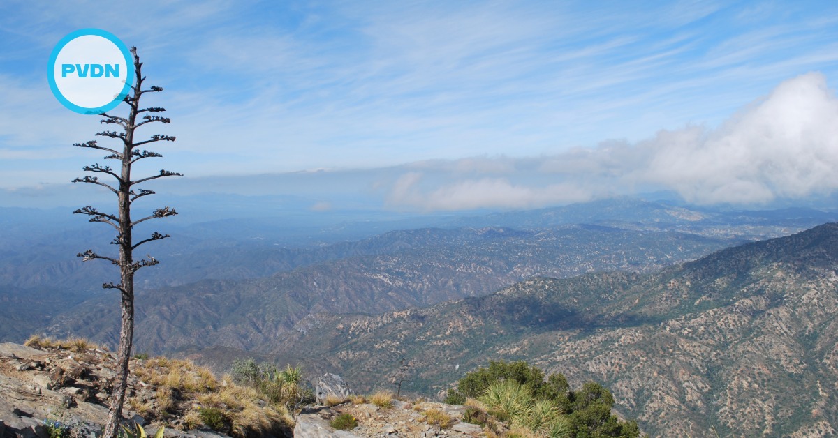 Semarnat stops non-native species plan in Sierra La Laguna