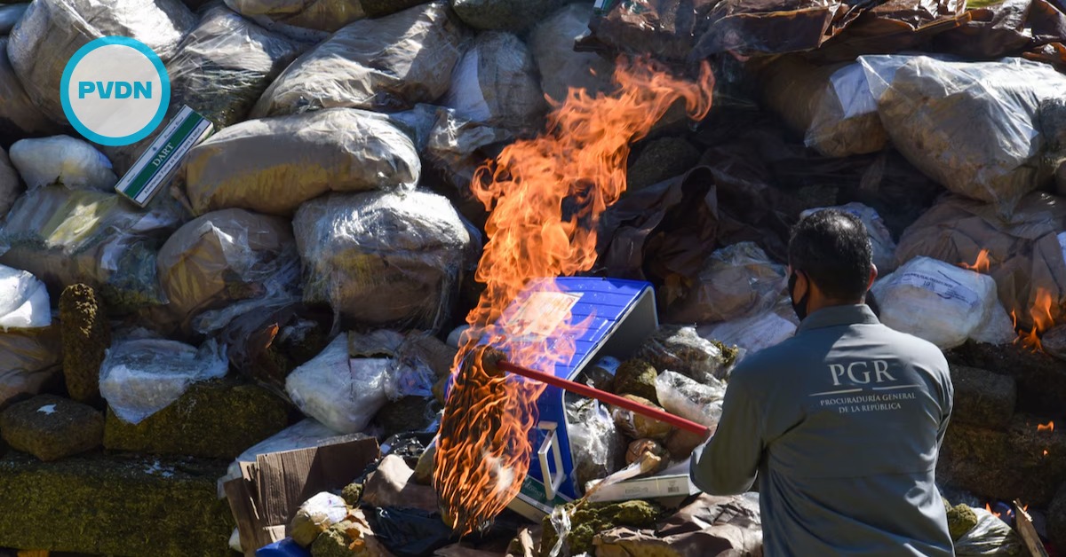 Watchdog Flags Unverified Fentanyl Seizure Numbers in Mexico