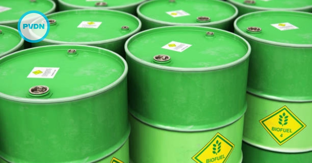 Why Mexico’s Fuel Tax Evasion Scheme Is So Profitable