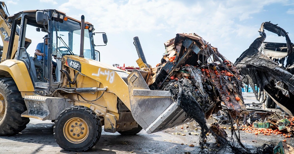 cleanup puerto vallarta