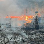 Dry-Season Fires Hit Vallarta and Bahía de Banderas