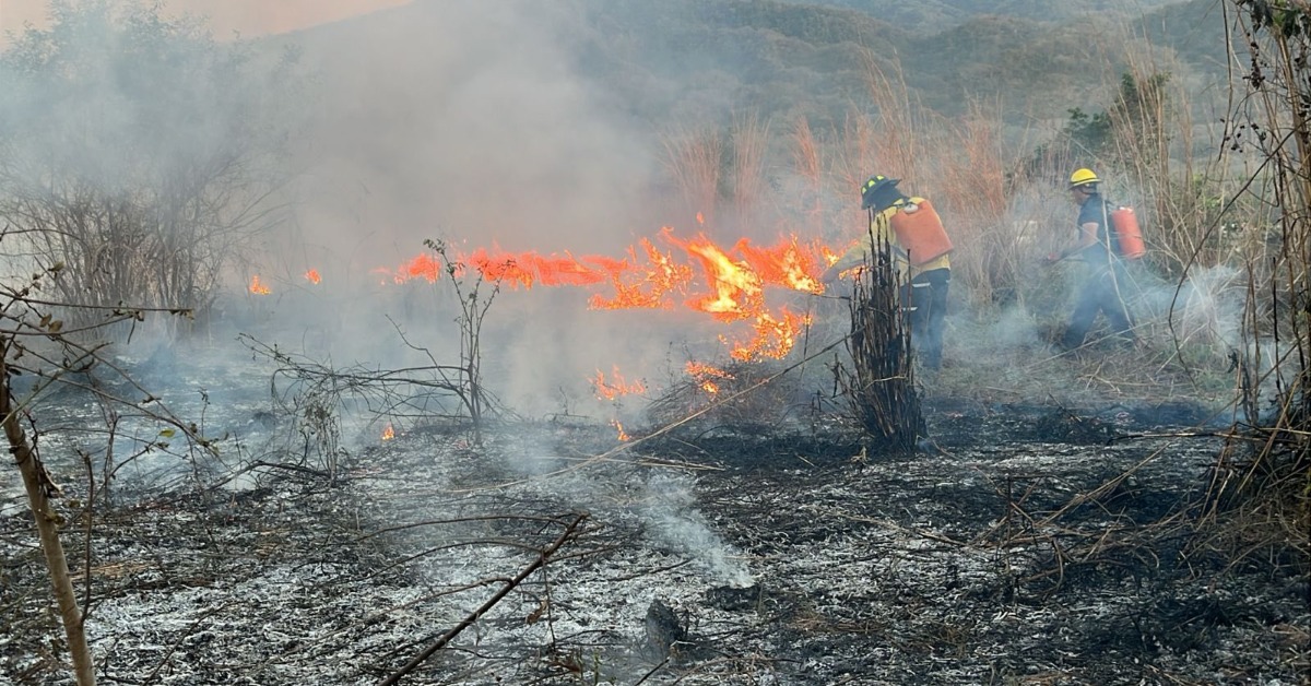 Dry-Season Fires Hit Vallarta and Bahía de Banderas