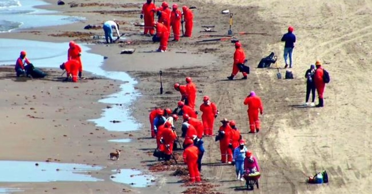 Gulf Oil Spill Now Reaches 630 km Along Mexico Coast