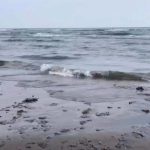 Beach contamination in Veracruz raises fresh doubts