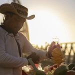 Jalisco and Business Leaders Move to Speed Vallarta Recovery