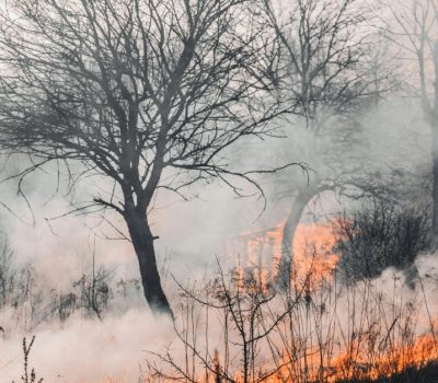 Mexico enters spring facing a harder wildfire season