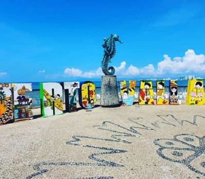 Puerto Vallarta Morning Briefing March 6 Daily Update