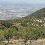 San Miguel moves to protect Los Picachos water zone