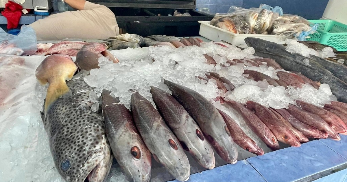 Why 250 kilos of seafood were held in Puerto Vallarta