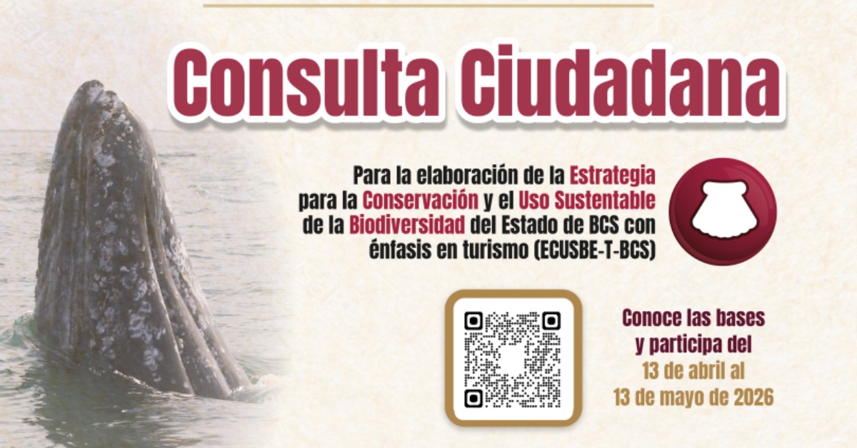 BCS Opens Biodiversity Strategy for Public Review