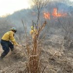 Bahía de Banderas Warns of Trash Burning and Fires