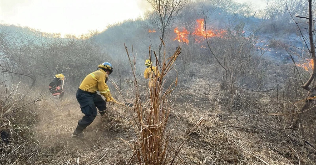 Bahía de Banderas Warns of Trash Burning and Fires