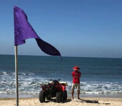 Purple Flags Raised at Two Puerto Vallarta Beaches
