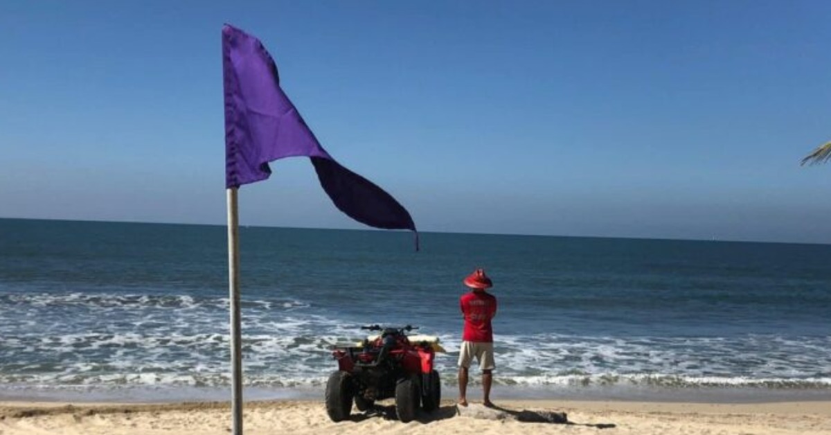Purple Flags Raised at Two Puerto Vallarta Beaches