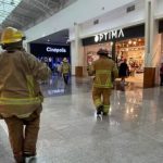 Bee swarm injures several people at Plaza Las Américas in Cancún