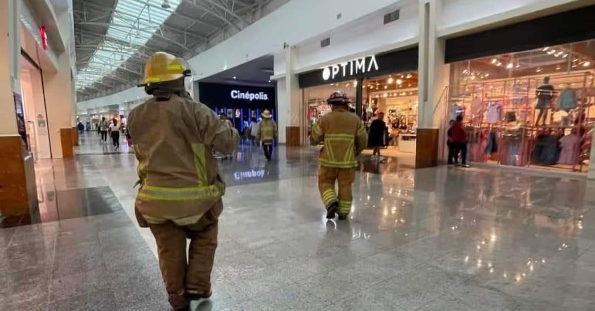 Bee swarm injures several people at Plaza Las Américas in Cancún