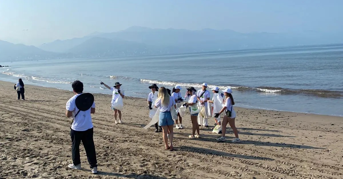 Boca de Tomates Cleanup Pulls 300 Kilos From Beach