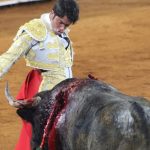 Bullfighting Battle Reaches Mexico’s Supreme Court