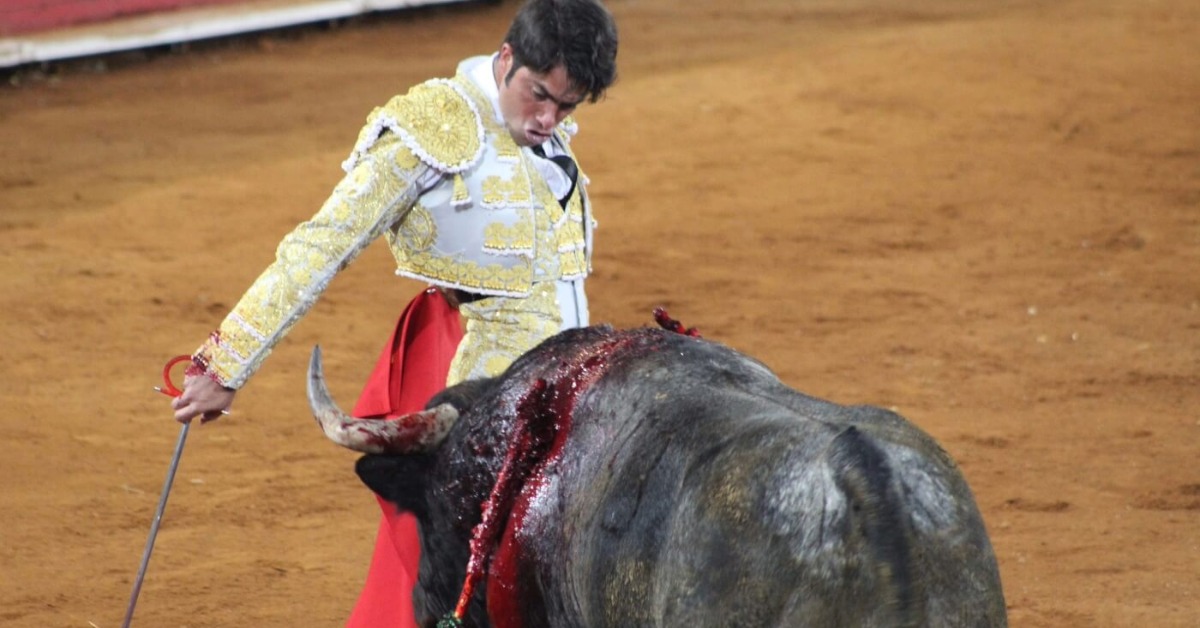 Bullfighting Battle Reaches Mexico’s Supreme Court