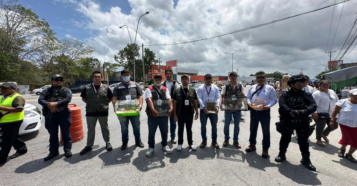 Cancún market seizure spotlights illegal wildlife trade